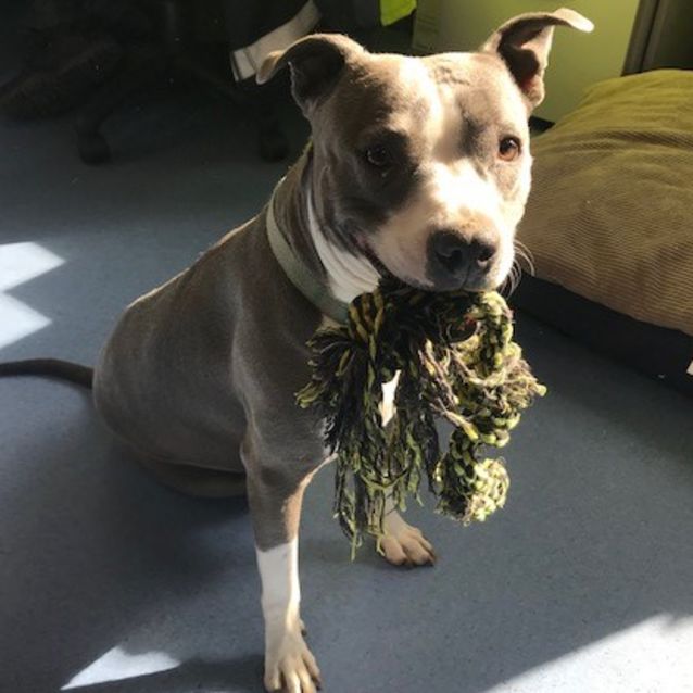 Photo of Mia