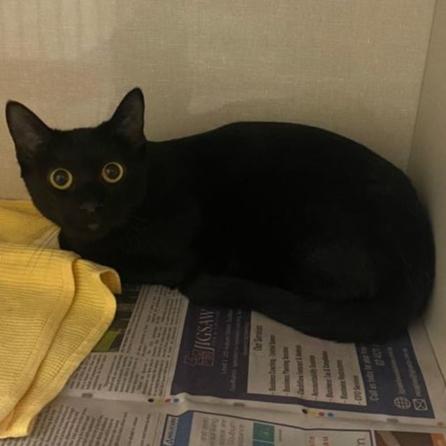 Photo of Luna 