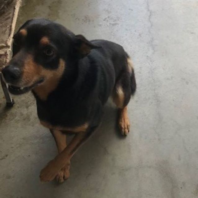 Photo of Zip