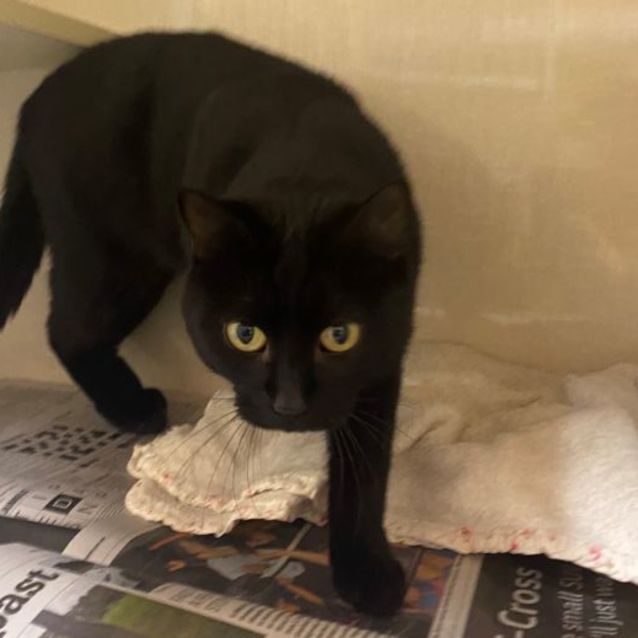 Photo of Stormy 