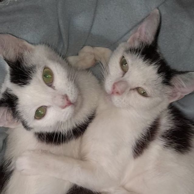 Photo of Felicity And Renee