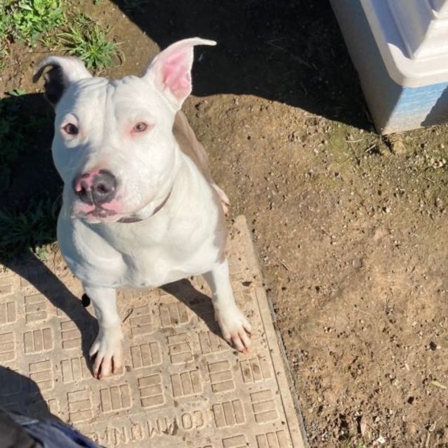 Photo of Cleo