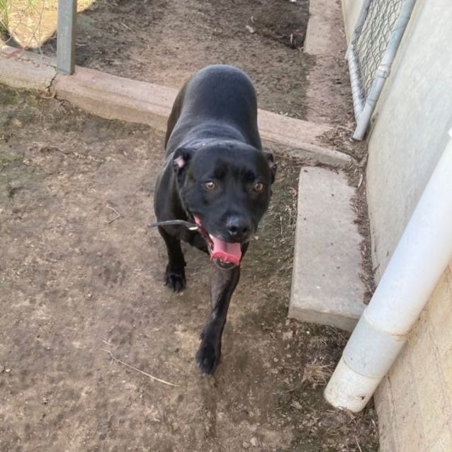 Photo of Storm