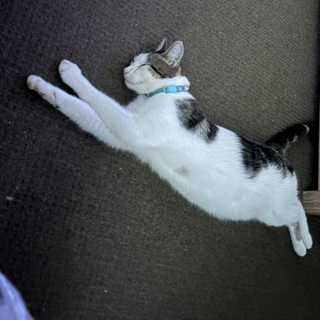Photo of Paddy