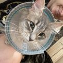 Photo of Blossom