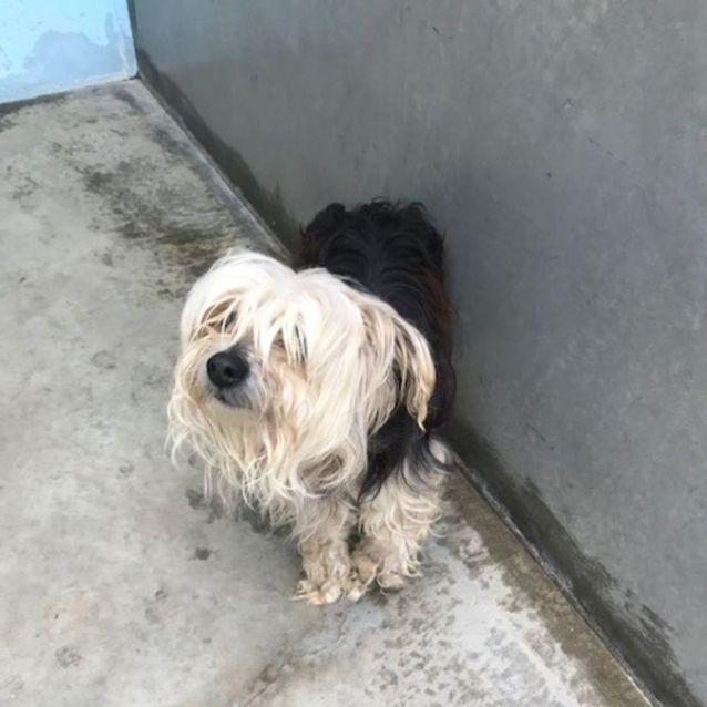 Photo of Jerry