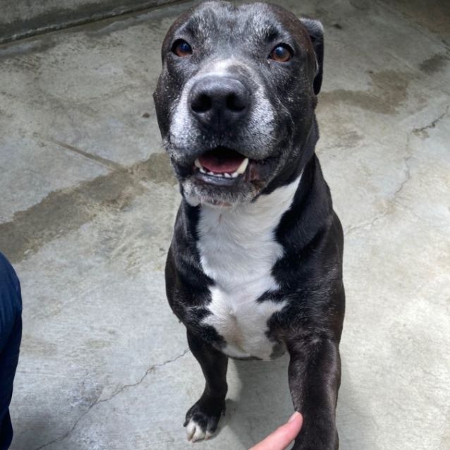 Photo of Tank