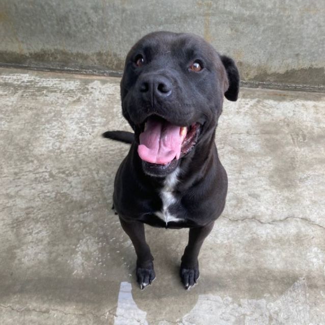 Photo of Buster