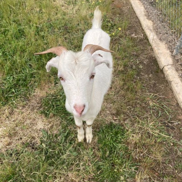 Photo of Kevin