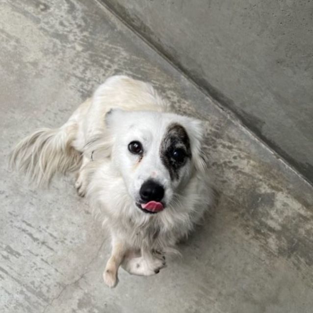 Photo of Polly