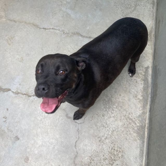 Photo of Bibi