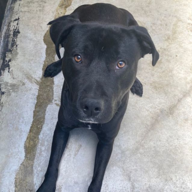 Photo of Tank