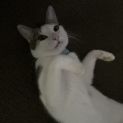 Photo of Paddy