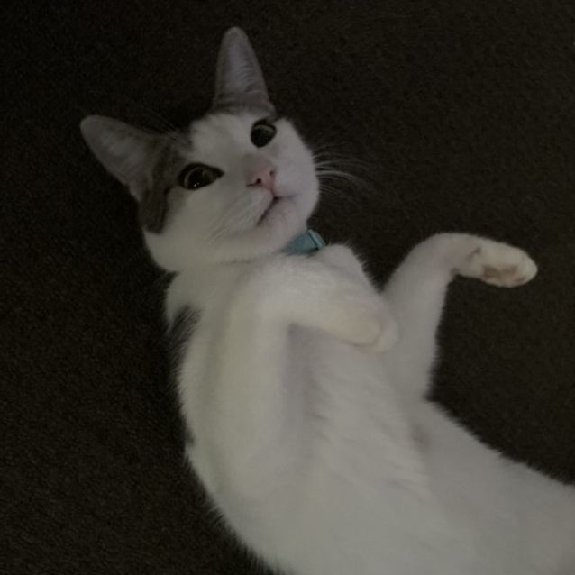 Photo of Paddy