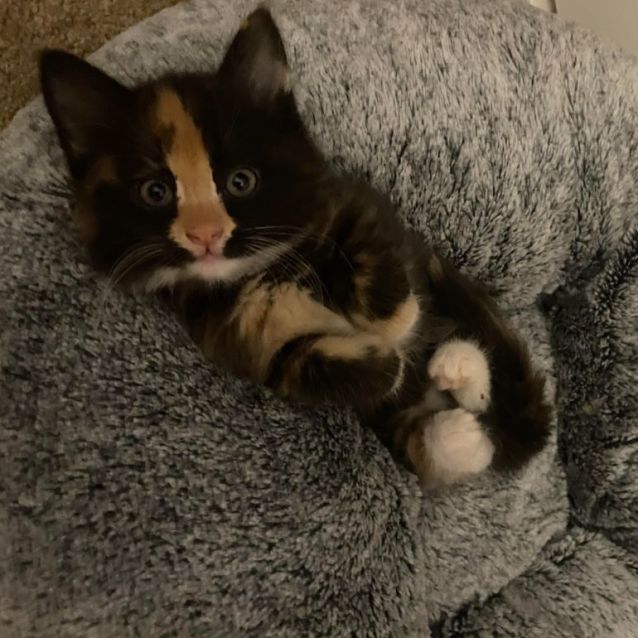 Photo of Millie