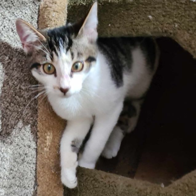Photo of Jax