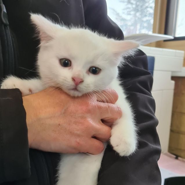 Photo of Frosty