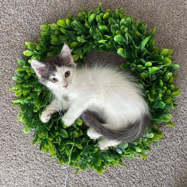 Photo of 💜 Harlee 💜