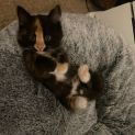 Photo of Millie