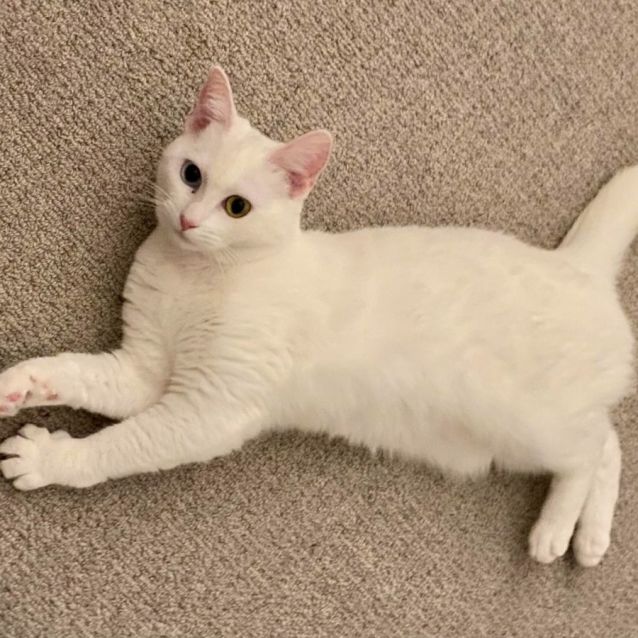 Photo of River (Located In Docklands)