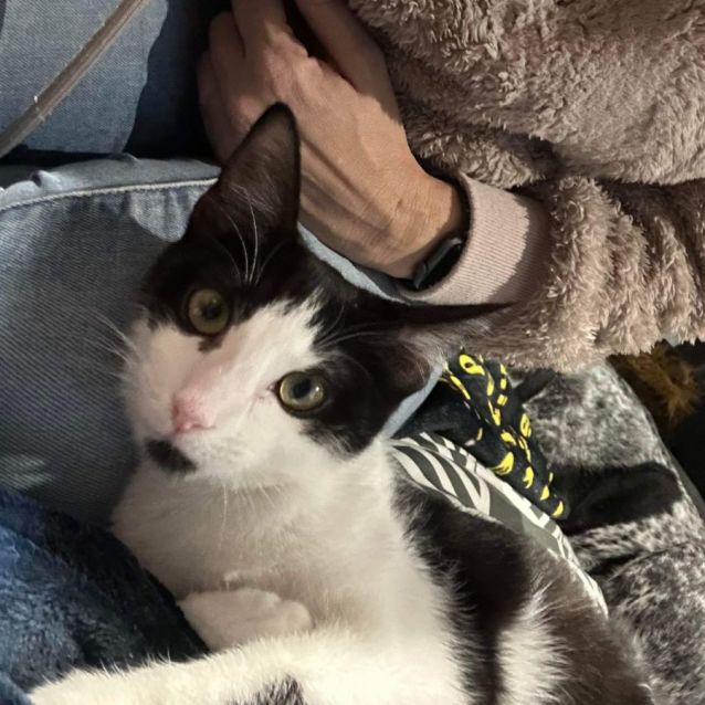 Photo of Leia