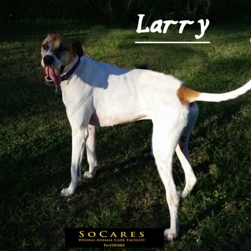 Socares Charmhaven Animal Care Facility Petrescue