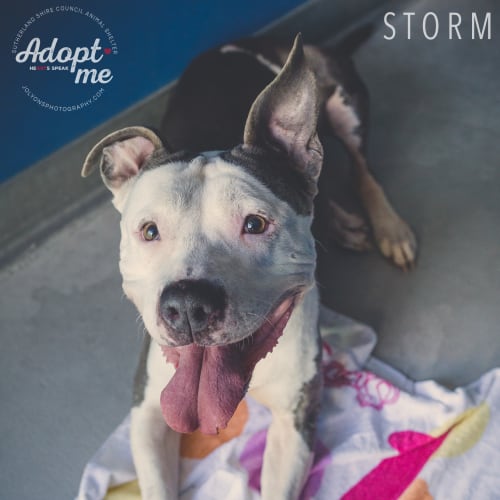 Storm