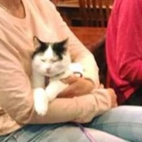 Jeremy & Cassidy - handsome, fun loving bros!