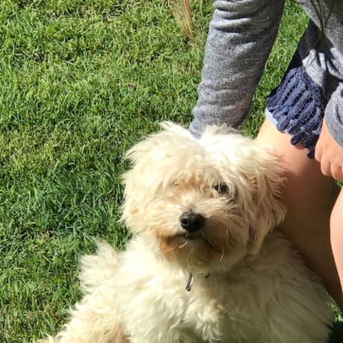 Benny