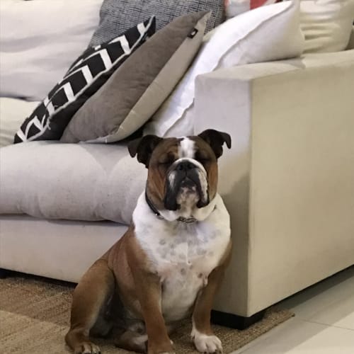 Barclay