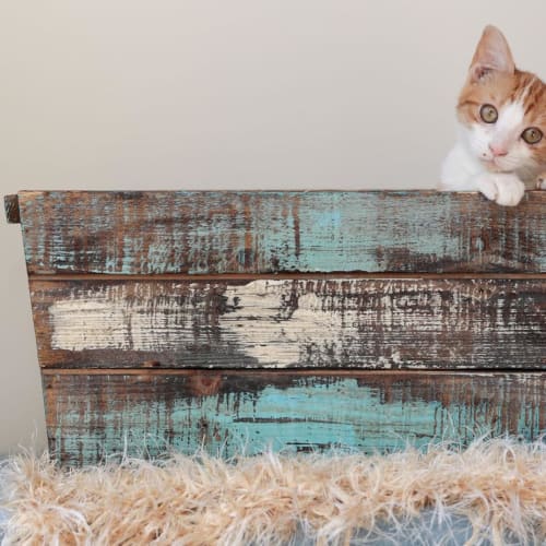 Hilda *On Trial with my New Family*