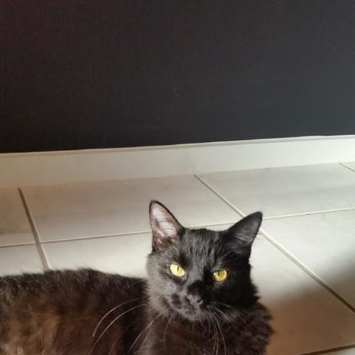 Molly