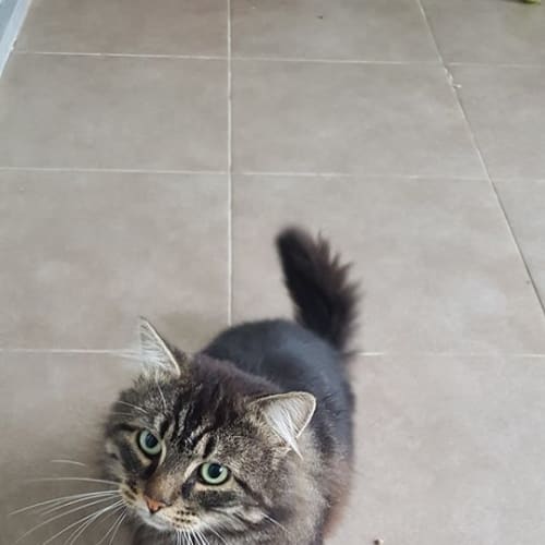 Bobby aka Bob