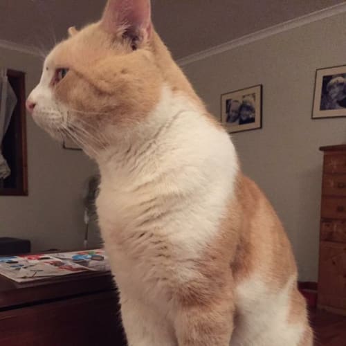 Charlie 