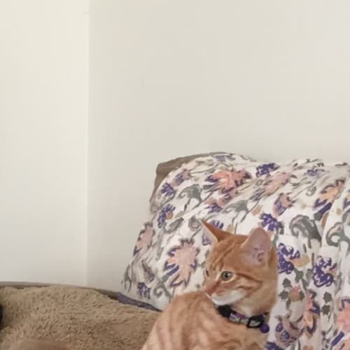 Sammie