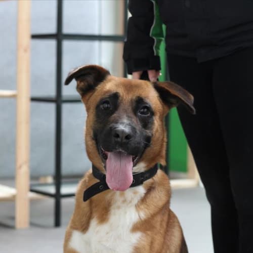 Ben