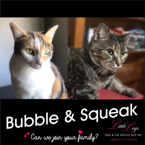 Bubble and Squeak