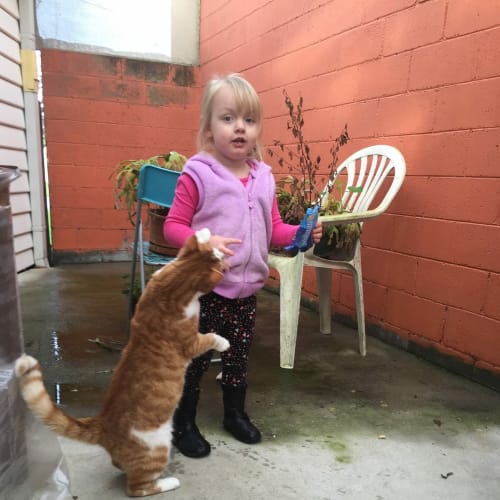 Tom **2nd Chance Cat Rescue**