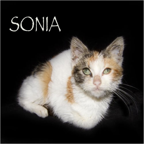 Sonia