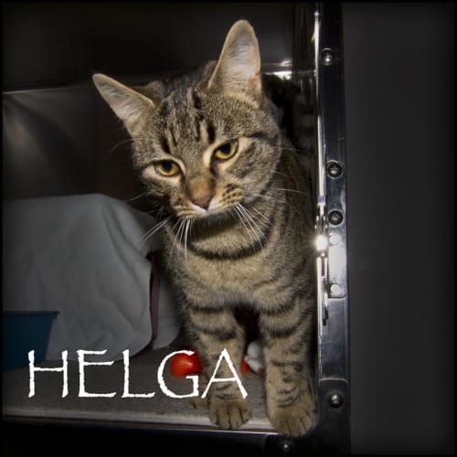 Helga