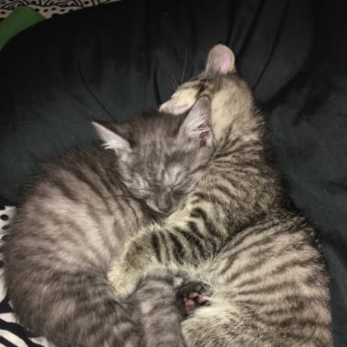 Rhea and Zara