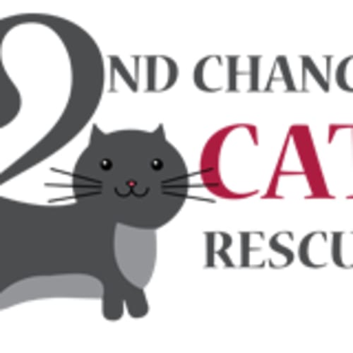 Melody *2nd Chance Cat Rescue*
