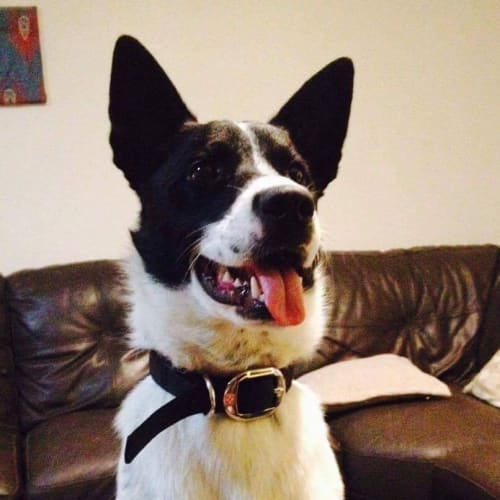 Max