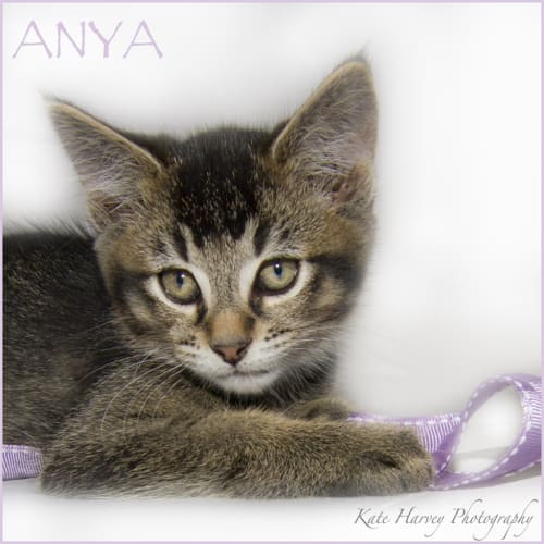 Anya