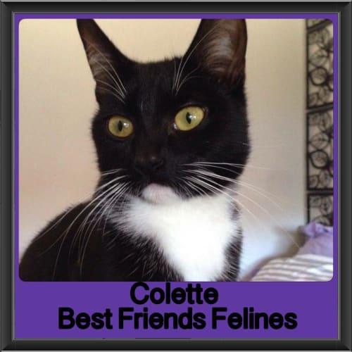 Colette