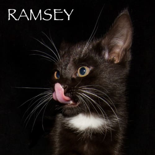 Ramsey