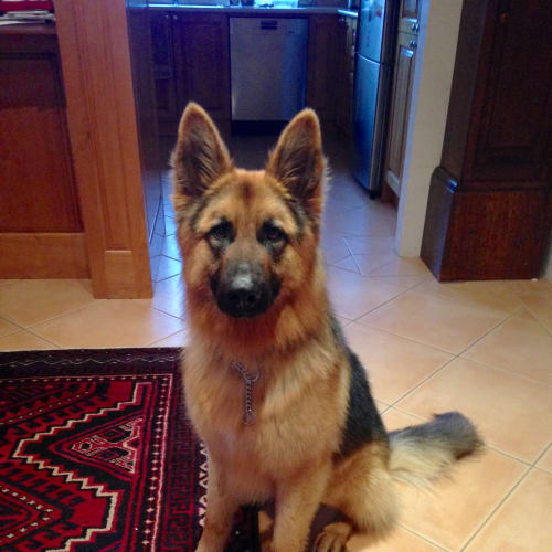 Tonka