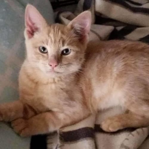 Craig ❤Meet Me 29/7 @ BestFriends T/town❤ 
