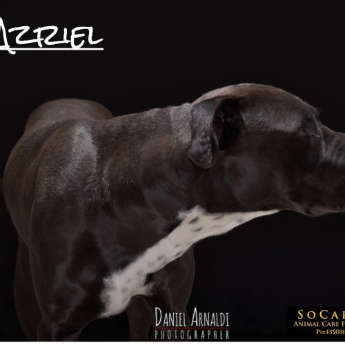 Azriel