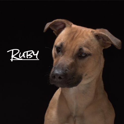 Ruby